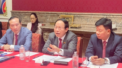 हाई फोंग ने बेल्जियम में विदेशी वियतनामी व्यवसायों से शहर में निवेश करने का आह्वान किया है।