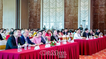 ເວທີປາໄສວິທະຍາສາດພະຍາດຜິວໜັງເຂດທົ່ງພຽງແມ່ນ້ຳຂອງ