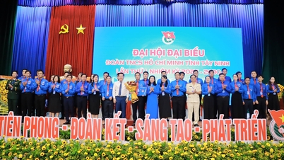 トラン・ハイ・フー氏はタイニン省青年連合の書記を務めています。