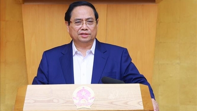 Primer Ministro: Hay que crear impulso y fuerza para implementar eficazmente la Resolución del 14º Congreso Nacional del Partido Comunista de Vietnam.