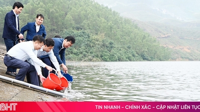 Η Χα Τιν απελευθερώνει περισσότερα από 80 χιλιάδες γόνους ψαριών για την αποκατάσταση των υδάτινων πόρων