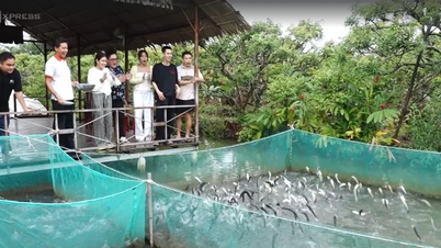 कैन थो नदी संस्कृति महोत्सव की मुख्य विशेषताएं और विशेष पर्यटन उत्पाद पर्यटकों को आकर्षित करते हैं