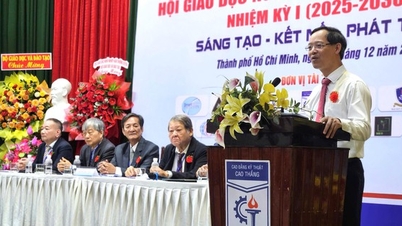 Der Berufsbildungsverband von Ho-Chi-Minh-Stadt hat eine neue Rolle