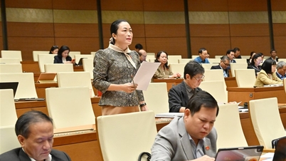 Garantir a viabilidade e manter a especificidade na integração dos 03 Programas Nacionais Alvo.