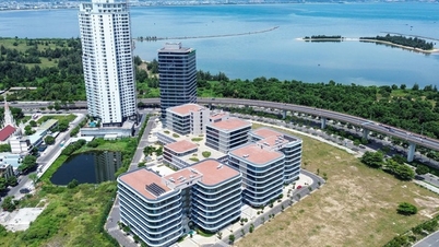 ទីក្រុងឆ្លាតវៃឆ្នាំ 2025 ដែលមានឈ្មោះថា Da Nang