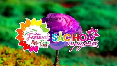 Dong Thap: Das 2. Blumen- und Zierpflanzenfestival im Jahr 2025 steht unter dem Motto „Farben der Blumen eines neuen Tages“.