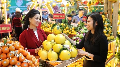 बाक निन्ह के फल उत्पादक क्षेत्र की प्रभावशाली सुंदरता