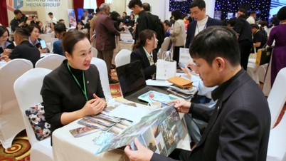 Renforcer la connectivité touristique