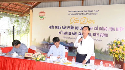 Unternehmen bieten „Beratung“ zur Entwicklung von Tourismusprodukten für das alte Dorf Dong Hoa Hiep an.