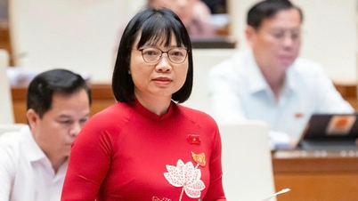 Leis inconsistentes podem prejudicar os esforços para prevenir e combater os danos causados ​​pelo tabaco.