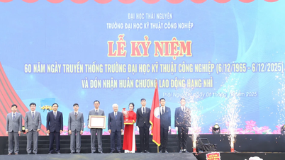 حصلت جامعة التكنولوجيا الصناعية على وسام العمل من الدرجة الثانية