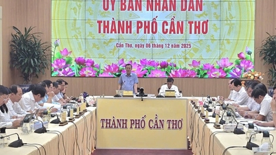 Can Tho assesses growth in 2025 and sets GRDP target of 10-10.5% in 2026