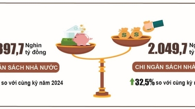 Los ingresos y gastos presupuestarios en 11 meses aumentaron un 30,9% y un 32,5% respectivamente.