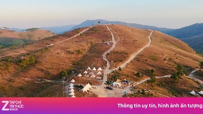 クアンニン省の「シュールな」芝生の丘にチェックインするために人が集まる