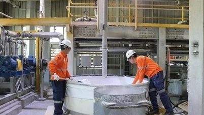 Nearly 178,000 newly established enterprises with registered capital increased by 20.9%