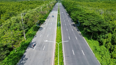 Ciudad Ho Chi Minh acuerda política de inversión para el metro Ben Thanh - Can Gio