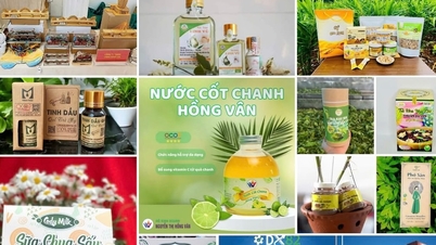 Perempuan Da Nang menyebarkan makanan khas lokal pada tahun 2025