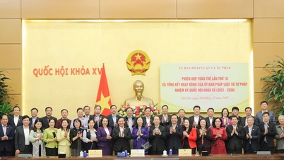 Phó Chủ tịch Quốc hội Nguyễn Khắc Định dự tổng kết Ủy ban Pháp luật và Tư pháp