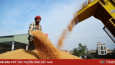 FAO: Verdens matvarepriser faller for tredje måned på rad