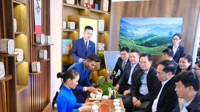 Phó Thủ tướng Bùi Thanh Sơn trải nghiệm không gian văn hóa tại Lễ hội Trà quốc tế 2025