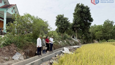 ضمان الضمان الاجتماعي في البناء الريفي الجديد