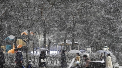 सियोल मौसम की पहली बर्फबारी से ढका: अनुभव और नोट्स