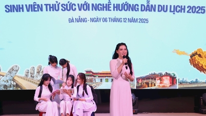 12 contestants entered the final round of the student competition to try their hand at being a tour guide