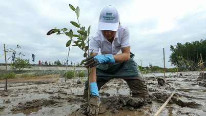 Vietnam planted 1.4 billion trees in 5 years, making an important contribution to efforts to respond to climate change.