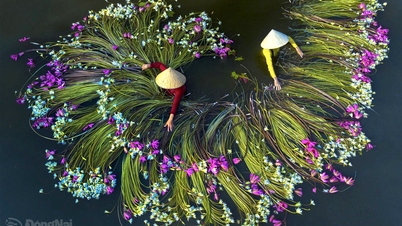 Khanh Phan streeft ernaar Vietnam te promoten door middel van foto's