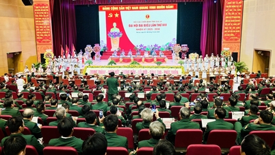 ກອງ​ປະ​ຊຸມ​ໃຫຍ່​ຜູ້​ແທນ​ສະ​ມາ​ຄົມ​ນັກ​ຮົບ​ເກົ່າ​ແຂວງ​ຢາ​ລາຍ​ຄັ້ງ​ທີ 8 ​ສະ​ໄໝ​ທີ 2025-2030