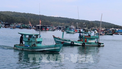 ការយកឈ្នះលើកាតលឿងរបស់ IUU៖ An Giang ដោះស្រាយការបំពានយ៉ាងតឹងរ៉ឹង