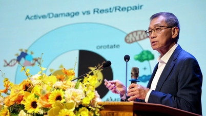 Neue Forschungsergebnisse könnten die Krebsbehandlung im Zeitalter der KI verändern.