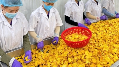 អាជីវកម្ម​ដុងថាប​ប្រណាំង​ដើម្បី​រក្សា​ប្រភព​ខ្នុរ​ស្រស់​សម្រាប់​តេត