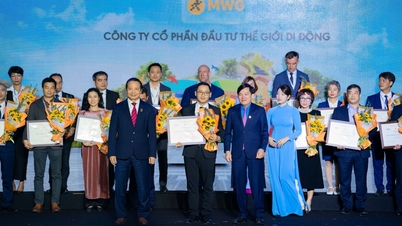 MWG berada dalam 100 Perusahaan Lestari Terbaik pada 2025 (CSI 100) untuk Kali Kedua Berturut-turut