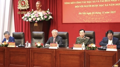 Sieben Erfolge durch Amnestiearbeit im Jahr 2025