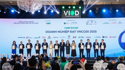 एमडब्ल्यूजी शीर्ष 50 अग्रणी उद्यमों में शामिल है और 2025 तक वियतनाम में कॉर्पोरेट प्रशासन में सुधार के लिए प्रतिबद्ध है - वीएनसीजी50