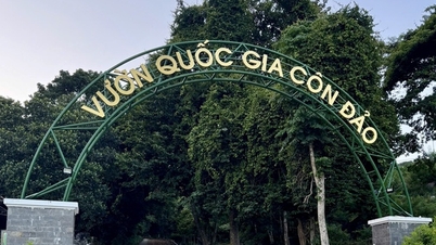 TPHCM: Thành lập Hạt Kiểm lâm rừng đặc dụng Vườn Quốc gia Côn Đảo