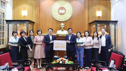 중앙구호동원위원회는 재난지역 주민을 지원하기 위해 1조 1,750억 VND 이상을 지원받았습니다.