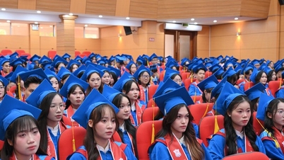 Drei Meilensteine ​​positionieren die Medizinische Universität Hanoi an der Spitze der Ausbildung im Gesundheitssektor.