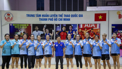 សហព័ន្ធកីឡាប្រដាល់វៀតណាមផ្តល់រង្វាន់ធំនៅស៊ីហ្គេម ៣៣