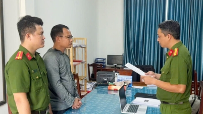 Detenção temporária do indivíduo que auxiliou a empresa LHD a fraudar e se apropriar indevidamente de mais de 432 bilhões de VND.