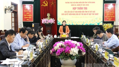 Análise do relatório do Comitê Popular Provincial sobre os resultados da tramitação das petições dos eleitores após a primeira sessão do 19º Conselho Popular Provincial.