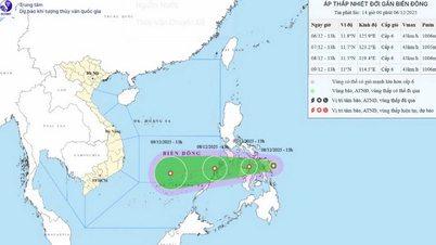 Depresi tropis muncul di dekat Laut Timur, angin terkuat mencapai 6