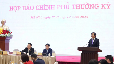 Geeignete Hausmodelle für Menschen in von Überschwemmungen betroffenen Gebieten prüfen und auswählen