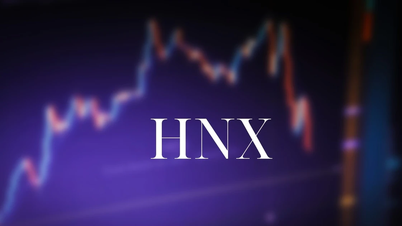 HNX市場2025年11月：上場株式の流動性は10月末と比較して29.66%減少、UPCoM指数は4.87%増加