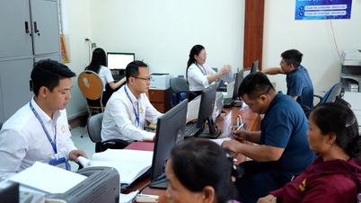 Hiệu quả phân cấp