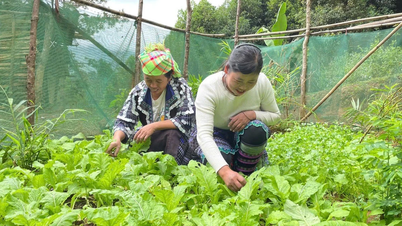 Chung sức vì mục tiêu giảm nghèo đa chiều, bền vững