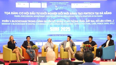 Meningkatkan efektivitas dukungan inovasi di Da Nang