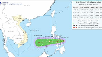 A depressão tropical está se deslocando para o Mar do Leste.