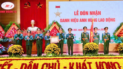 Binh đoàn 12 đón nhận danh hiệu Anh hùng Lao động